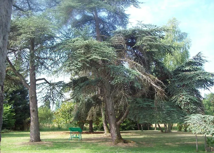 Chateau Le Guit 3* Grignols (Gironde)